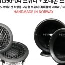 H1396 이미지