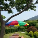 바닷가언덕 민박 이미지