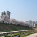 덕풍천서로 이미지