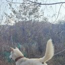 만기네집 이미지