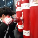 KM GYM 합기도 킥복싱 이미지