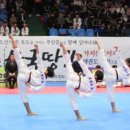 박사 엘리트 태권도 이미지