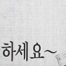 더드림다드림 이미지