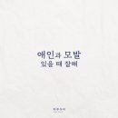 하루두피 세종아름점