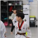 라이온태권도 이미지