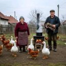 오즈스윗홈 이미지