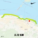 홍콩 러닝코스 추천 : 쑨원기념공원 페리터미널 대관람차 5K 달리기 후 제니쿠키 마무리