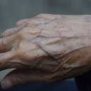 청양인삼약초 네이버블로그