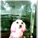 만호세차장 이미지