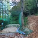 영골프클럽 | [진주/금산면] 골프 레슨은 남강원 골프클럽 &#39;구정은&#39; 프로님에게! 내돈내산 레슨 후기!