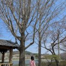 모든오피스 태안서산점 | [서해안 2박3일] 태안-서산-당진 힐링 여행 코스 추천 / 맛집, 카페, 가볼만한곳