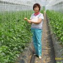 상현농장 이미지