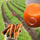 (주)예제나 이미지