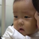 선영메디칼
