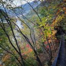 자연과사람들 이미지