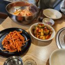 강아지세상 | 창동역찐맛집 창동 닭한마리 말복맞이 몸보신!