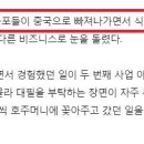 차이나 출입국 여행사 이미지