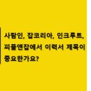 피플앤잡코리아 이미지