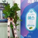 권민정헤어