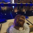 놀러와실내낚시카페 이미지