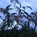 대원보건진료소 이미지