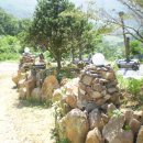 태양농원 이미지