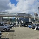 닥터김동물의료센터 이미지