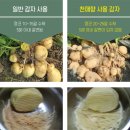 주식회사팜메디 이미지