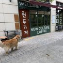 라비동물병원 이미지