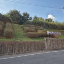 종합경기장 탁구장 이미지