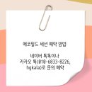 주)에코리더 | 세우기 연구모임 – 관계의 경계와 슬픔의 정화[에코필드, 무의식정화, 심리세션후기, 관계역동, 온라인]