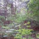 신의한수농장 이미지