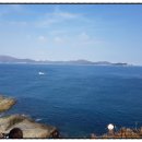 NR-17[완주로]-하-404 | 2017년 들어온 책