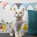 지개동산 이미지