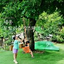 세종 도토리숲키즈파크 아이와 다양한 체험을 즐길 수 있는 놀거리 가득한 자연 놀이터