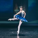 성인발레 이미지