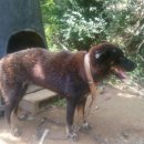 산음영농 이미지