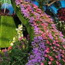 나비야함평가자 이미지