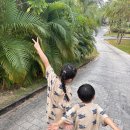 요토피아 | 혼똔섬 음료쿠폰쓰는법 / 아쿠아토피아 맛집 Slice of paradise