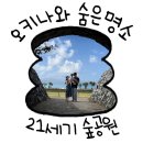 오키나와 아기랑 여행, 나고에서 찾은 숨은 명소 21세기 숲공원