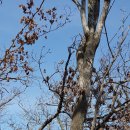 백둔리 주차장 이미지