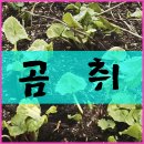 도릉농원 네이버블로그