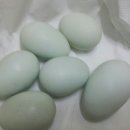 원이농장 이미지