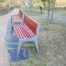 상록고등학교 이미지