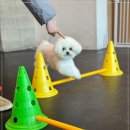 멍 핏 스튜디오 이미지