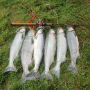 용인대 자양복싱 이미지