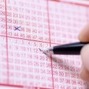 어리염소 이미지