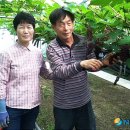 김태진농장 이미지