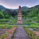 상오리 칠층석탑 | 상주 상오리 칠층석탑