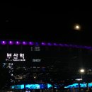 중앙역 건너편 버스정류장 | 부산숙소추천 남포 중앙역 반려견동반 가능 커넥트호텔 리뷰 가성비 숙소 추천
